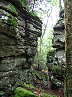 beartown_state_park.small.jpg
